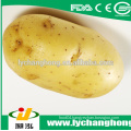 2014 new crop fresh potatos exporter from China